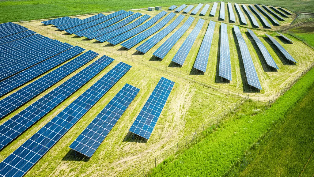 Photovoltaic Cell Efficiency across Panel Types