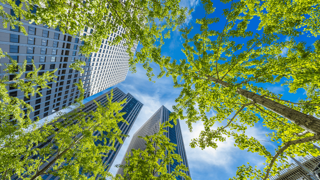 Green Building Design